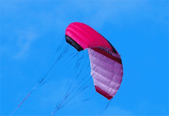 vliegers/kites