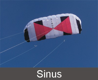 sinus